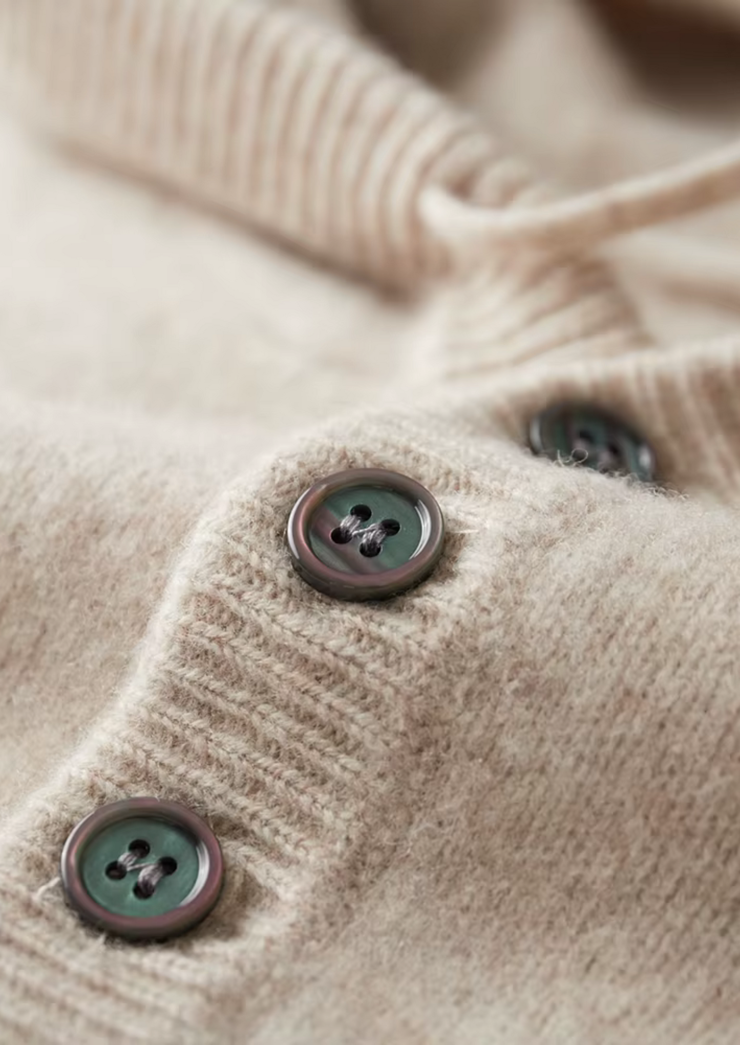 WOOL BUTTON HOODIE
